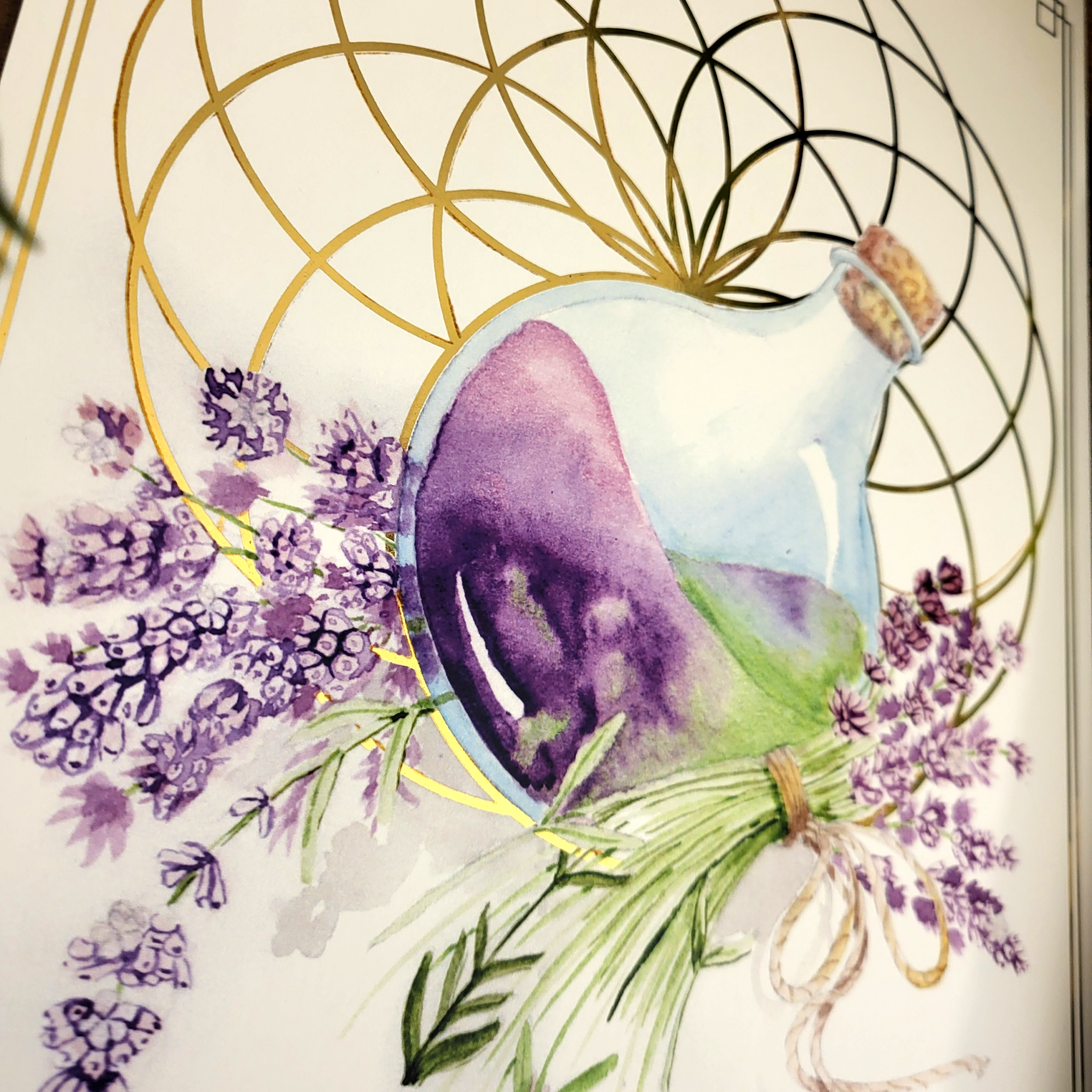 Lavender Potion - Image 2