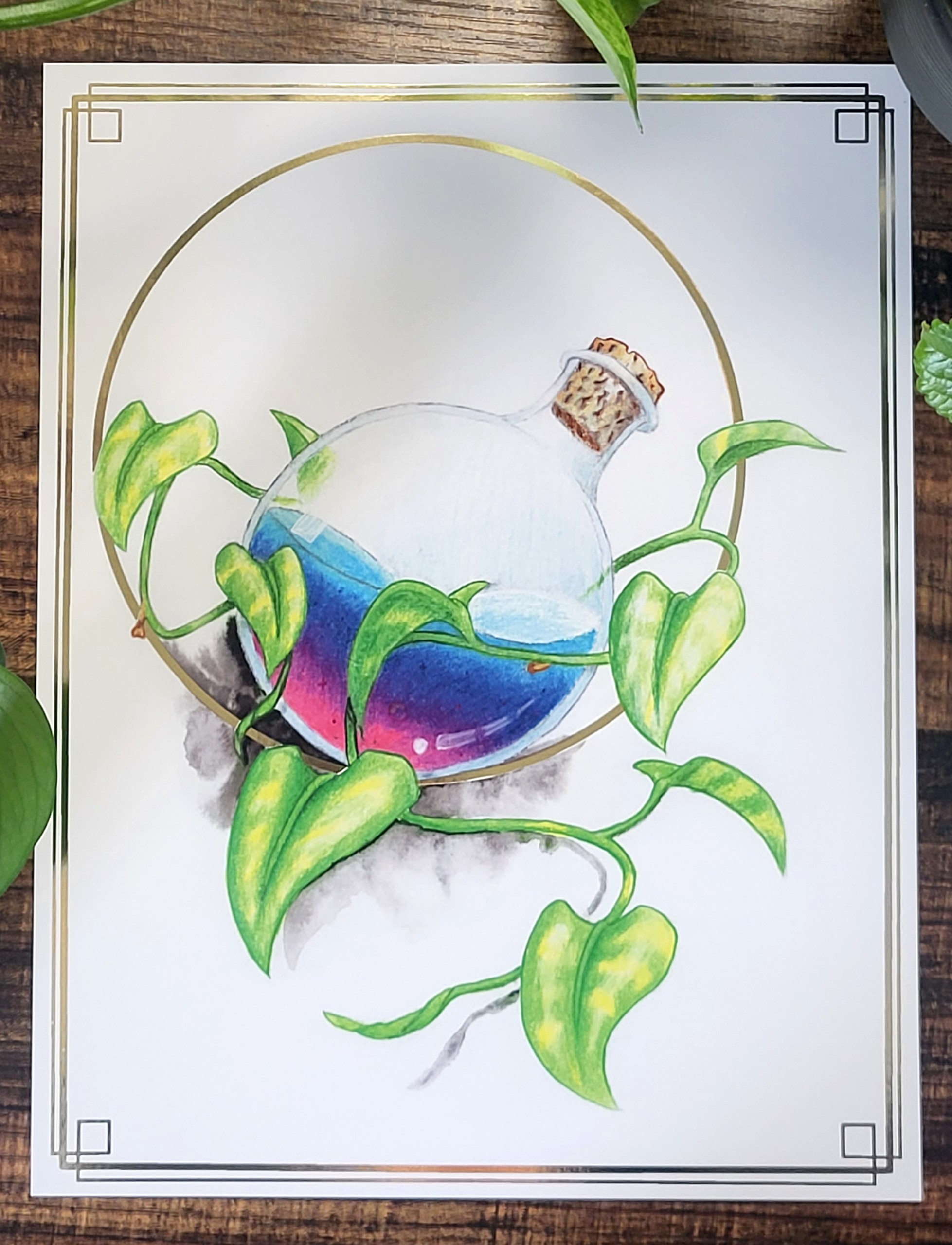 Potions and Pothos - Image 2